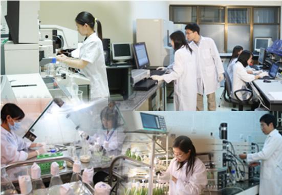 Thời hạn giám định tư pháp trong hoạt động KH&CN tối đa là 03 tháng Thời hạn giám định tư pháp trong hoạt động KH&CN tối đa là 03 tháng